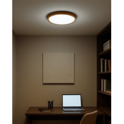 LED Stropné svietidlo LED/18W/230V 3000/4000/6500K pr. 23 cm béžová