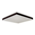 LED Stropné svietidlo LED/18W/230V 4000K 35x35 cm čierna