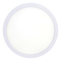 LED Stropné svietidlo LED/18W/230V 4200K pr. 21 cm biela