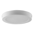 LED Stropné svietidlo LED/18W/230V 6500K