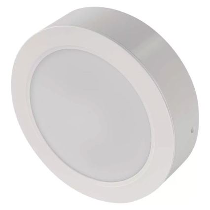 LED Stropné svietidlo LED/18W/230V pr. 17 cm biela