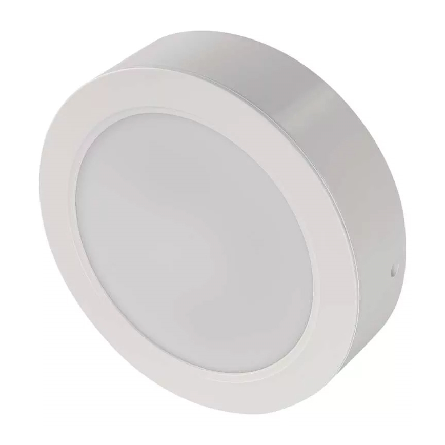 LED Stropné svietidlo LED/18W/230V pr. 17 cm biela