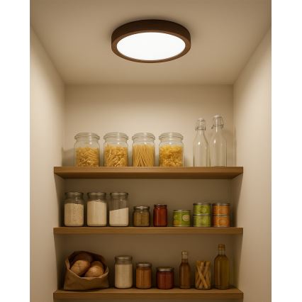 LED stropné svietidlo LED/18W/230V s prepínateľnou teplotou svetla 3000/4000/6500K, priemer 23 cm, hnedé