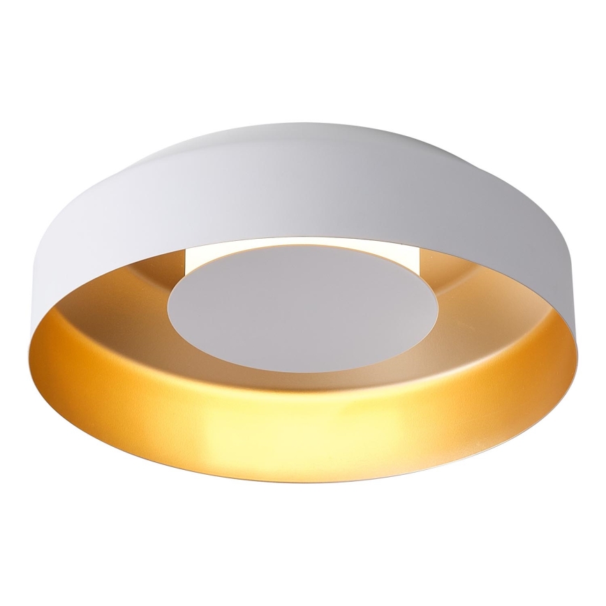 LED Stropné svietidlo LED/20W/230V 3000K biela