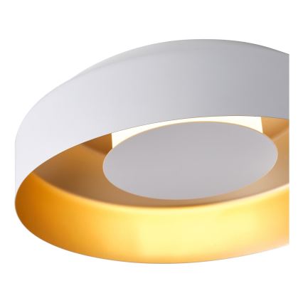 LED Stropné svietidlo LED/20W/230V 3000K biela