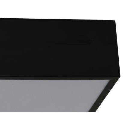 LED Stropné svietidlo LED/215W/230V 3000/4000/6500K 80x80 cm čierne
