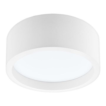 LED Stropné svietidlo LED/21W/230V borovica