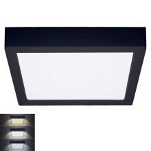 LED Stropné svietidlo LED/24W/230V 3000/4000/6000K čierna hranatý