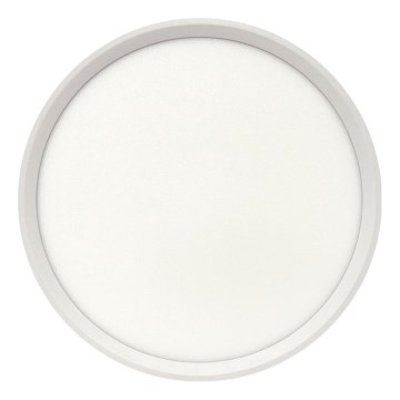 LED stropné svietidlo LED/24W/230V 3000/4000/6500K pr. 30 cm biela