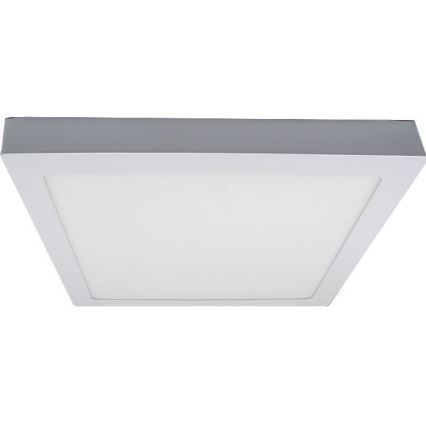 LED Stropné svietidlo LED/24W/230V 3000K