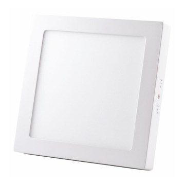 LED Stropné svietidlo LED/24W/230V 4000K