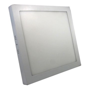 LED Stropné svietidlo LED/24W/230V 6000K