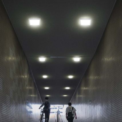 LED Stropné svietidlo LED/24W/230V 6500K 28,7x28,7 cm biela