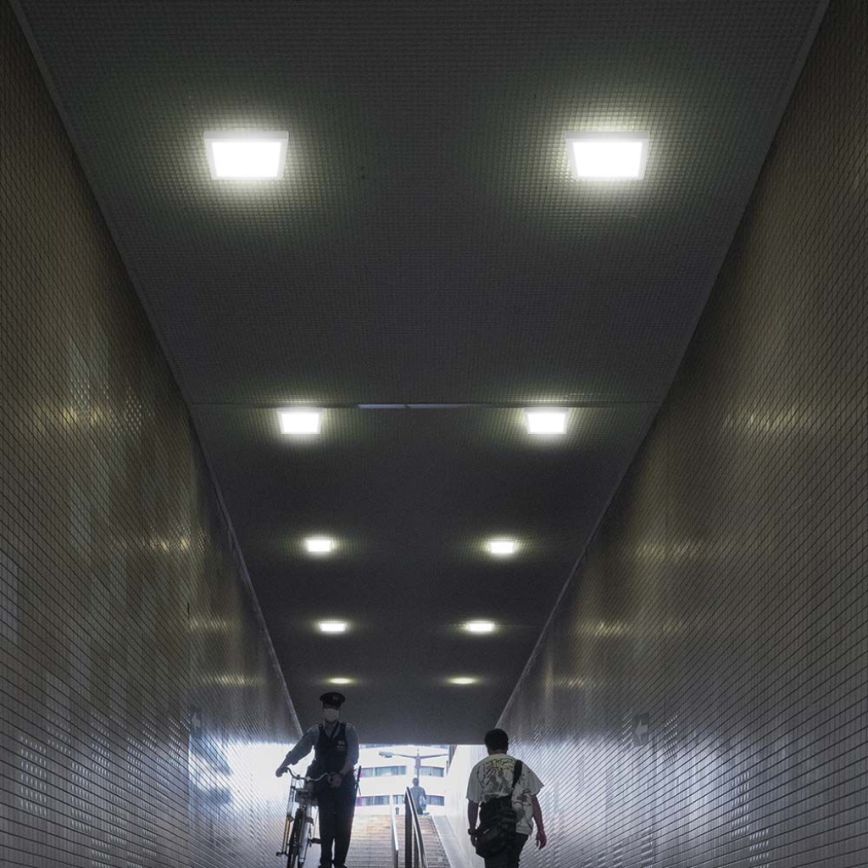 LED Stropné svietidlo LED/24W/230V 6500K 28,7x28,7 cm biela