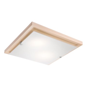 LED stropné svietidlo LED/24W/230V buk