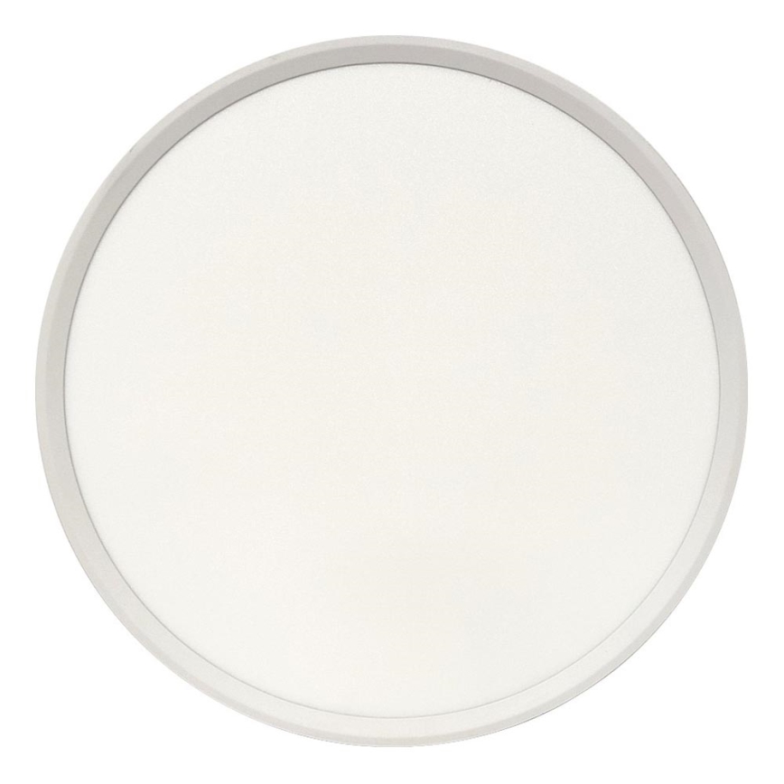 LED stropné svietidlo LED/32W/230V 3000/4000/6500K pr. 40 cm biele