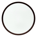 LED stropné svietidlo LED/32W/230V 3000/4000/6500K, priemer 40 cm, hnedé