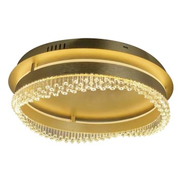 LED Stropné svietidlo LED/36W/230V pr. 43 cm zlaté