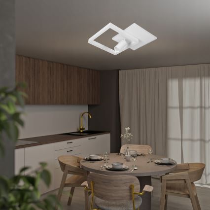 LED stropné svietidlo LED/38W/230V + 1xGU10/30W biela