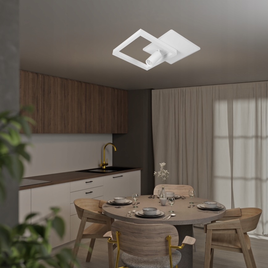 LED stropné svietidlo LED/38W/230V + 1xGU10/30W biela