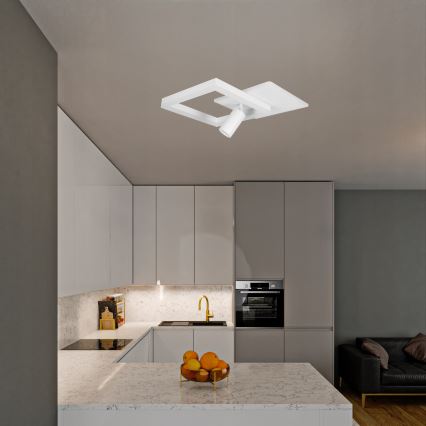 LED stropné svietidlo LED/38W/230V + 1xGU10/30W biela