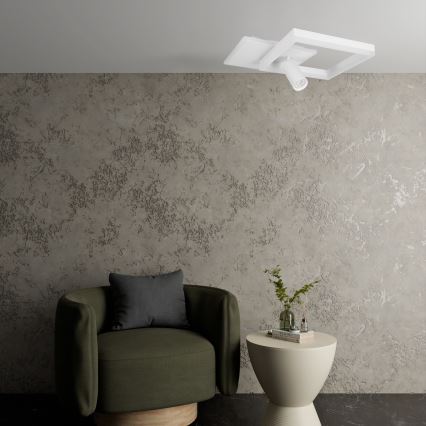 LED stropné svietidlo LED/38W/230V + 1xGU10/30W biela