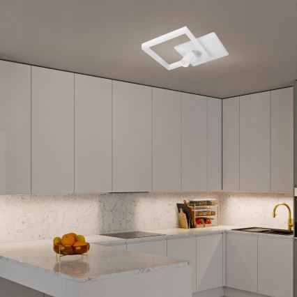 LED stropné svietidlo LED/38W/230V + 1xGU10/30W biela