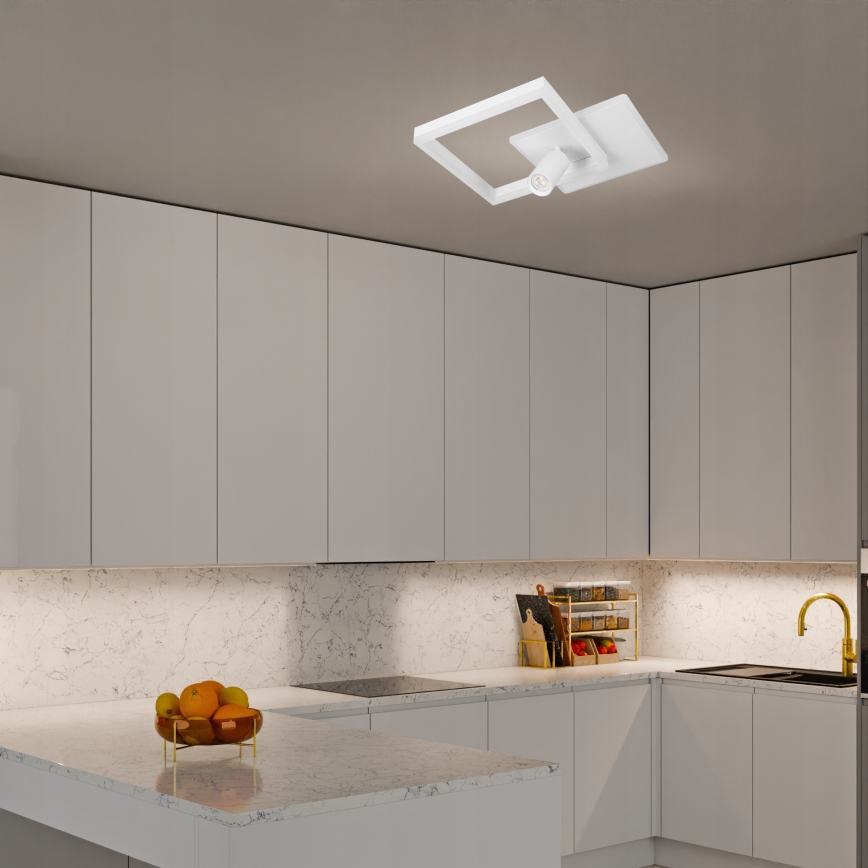 LED stropné svietidlo LED/38W/230V + 1xGU10/30W biela