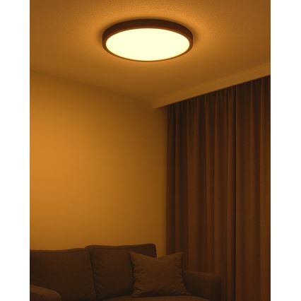 LED stropné svietidlo LED/40W/230V 3000/4000/6500K pr. 50 cm hnedá