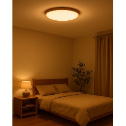 LED stropné svietidlo LED/40W/230V 3000/4000/6500K priemer 50 cm béžové