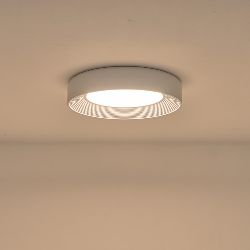 LED Stropné svietidlo LED/40W/230V 3000K biela pr. 50 cm
