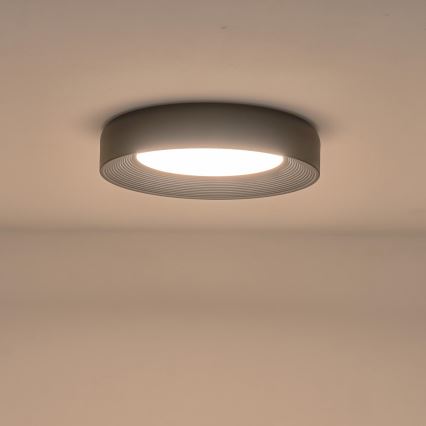 LED Stropné svietidlo LED/40W/230V 3000K čierna pr. 50 cm