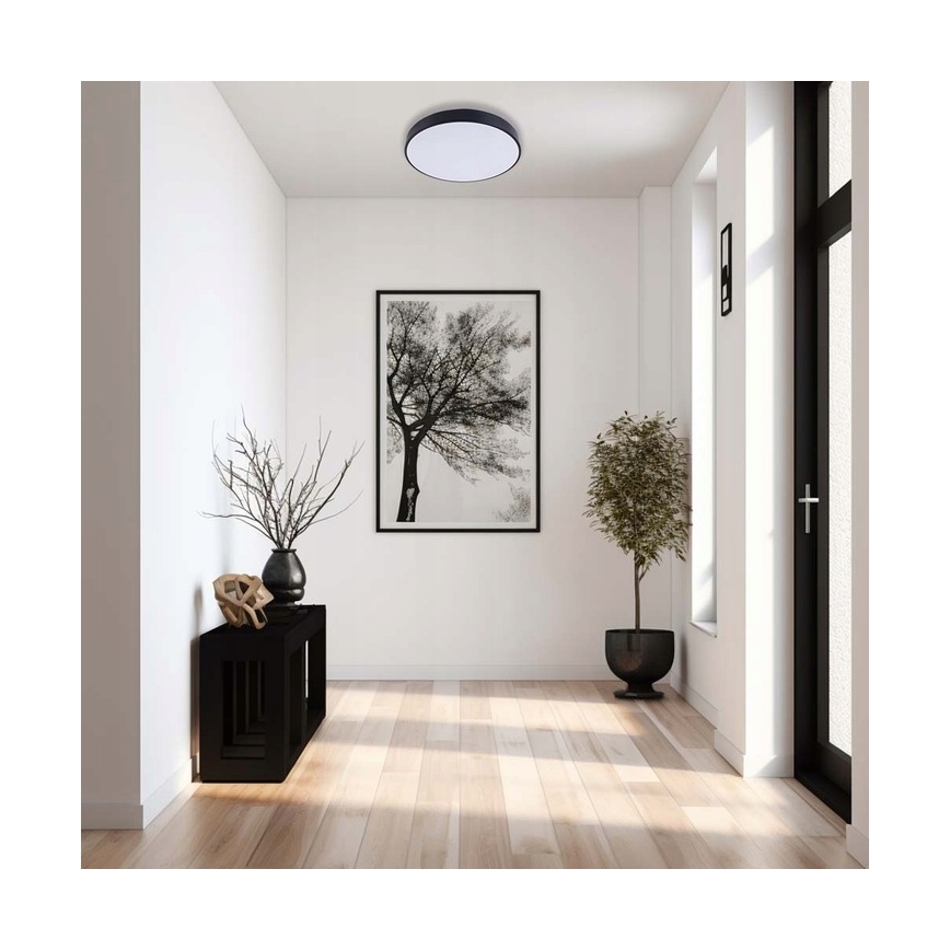 LED Stropné svietidlo LED/60W/230V 4000K pr. 60 cm čierna