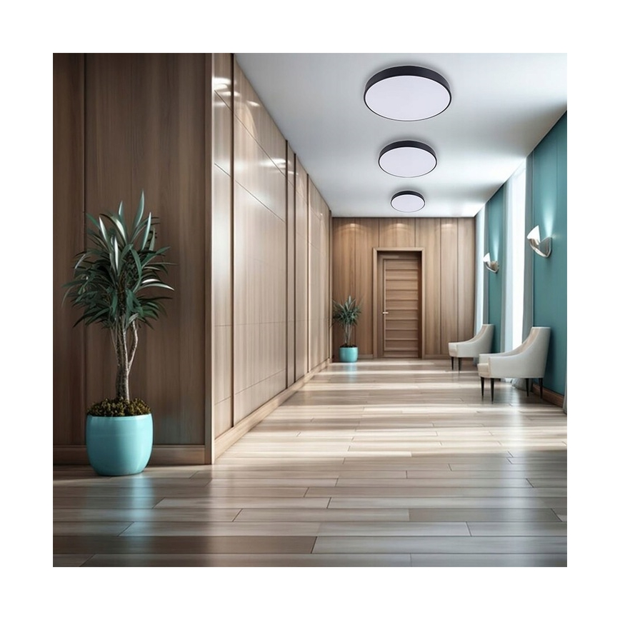 LED Stropné svietidlo LED/60W/230V 4000K pr. 60 cm čierna