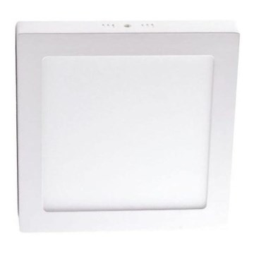 LED Stropné svietidlo LED/6W/230V 4000K 12x12 cm