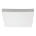 LED Stropné svietidlo LED/6W/230V 6500K 12x12 cm biela