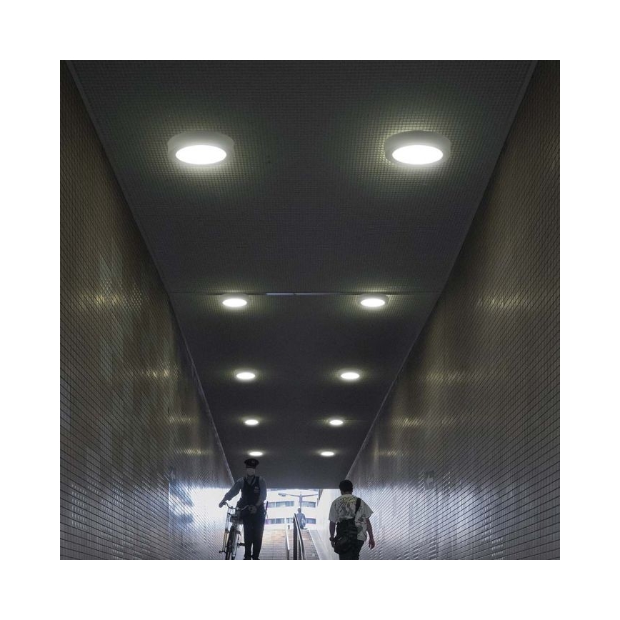 LED Stropné svietidlo LED/6W/230V 6500K biela
