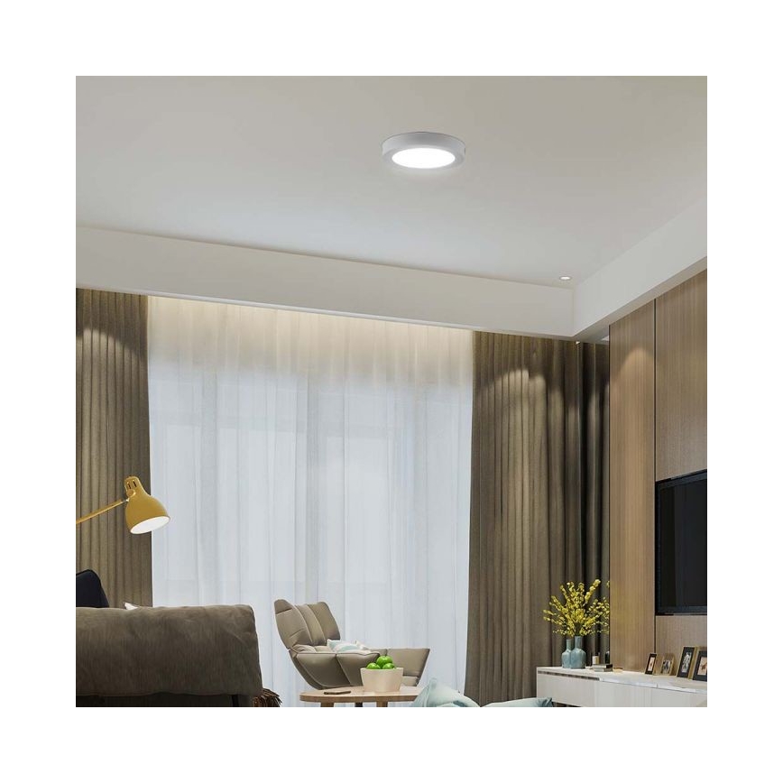 LED Stropné svietidlo LED/6W/230V 6500K biela