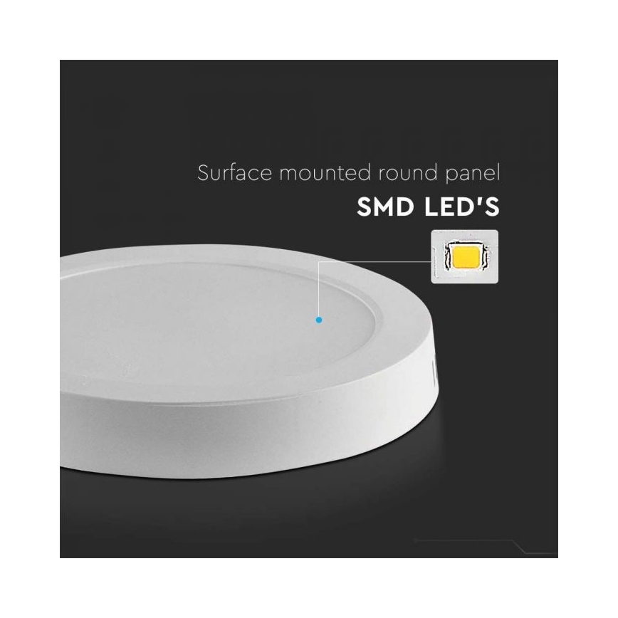LED Stropné svietidlo LED/6W/230V 6500K biela