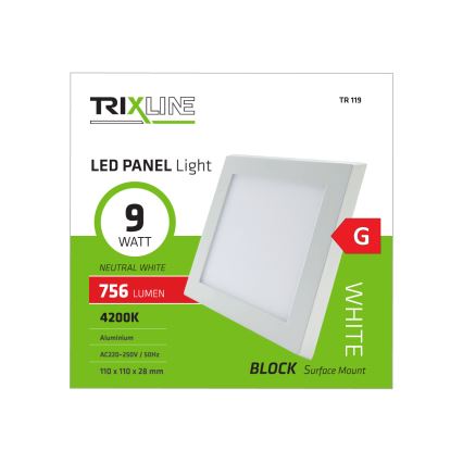 LED Stropné svietidlo LED/9W/230V 4200K