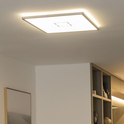 LED stropné svietidlo LENNA LED/22W/230V 4000K