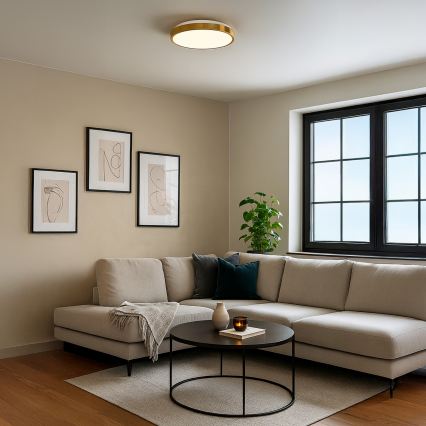 LED stropné svietidlo LIBRA LED/24W/230V 4000K pr. 39 cm zlaté