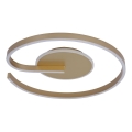 LED stropné svietidlo LORENZO LED/22W/230V pr. 50 cm zlaté