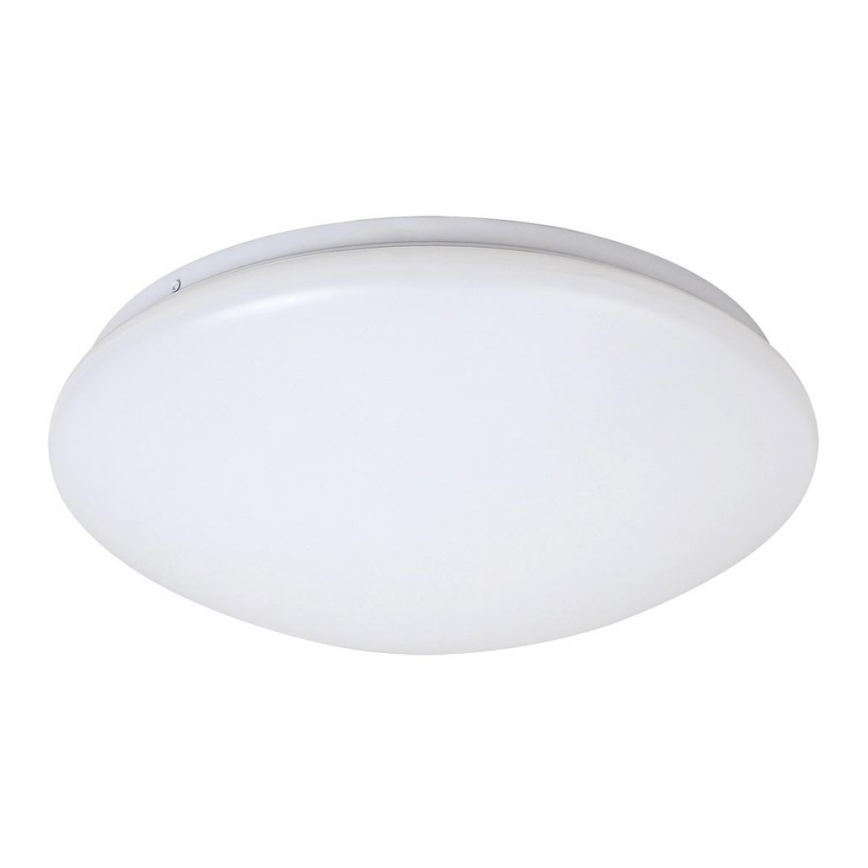 LED Stropné svietidlo LUCAS LED/12W/230V