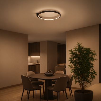 LED stropné svietidlo LUNA LED/18W/230V pr. 42,5 cm čierne
