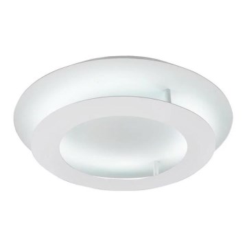 LED Stropné svietidlo MERLE LED/18W/230V