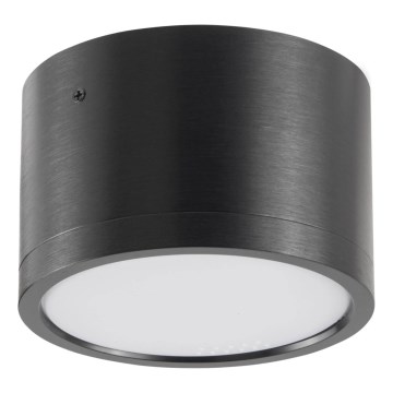 LED Stropné svietidlo MIRELLA 1xGX53/6W/230V čierna