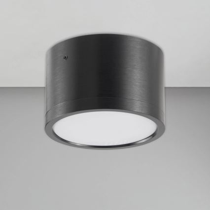 LED Stropné svietidlo MIRELLA 1xGX53/6W/230V čierna