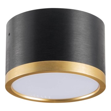 LED Stropné svietidlo MIRELLA 1xGX53/6W/230V čierna/zlatá