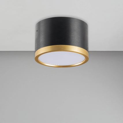 LED Stropné svietidlo MIRELLA 1xGX53/6W/230V čierna/zlatá